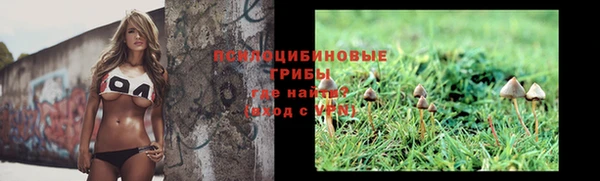 каннабис Абаза