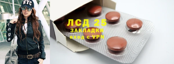 ГАЛЛЮЦИНОГЕННЫЕ ГРИБЫ Алзамай